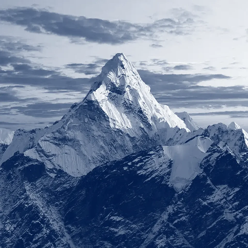 vilosan consept logo 01