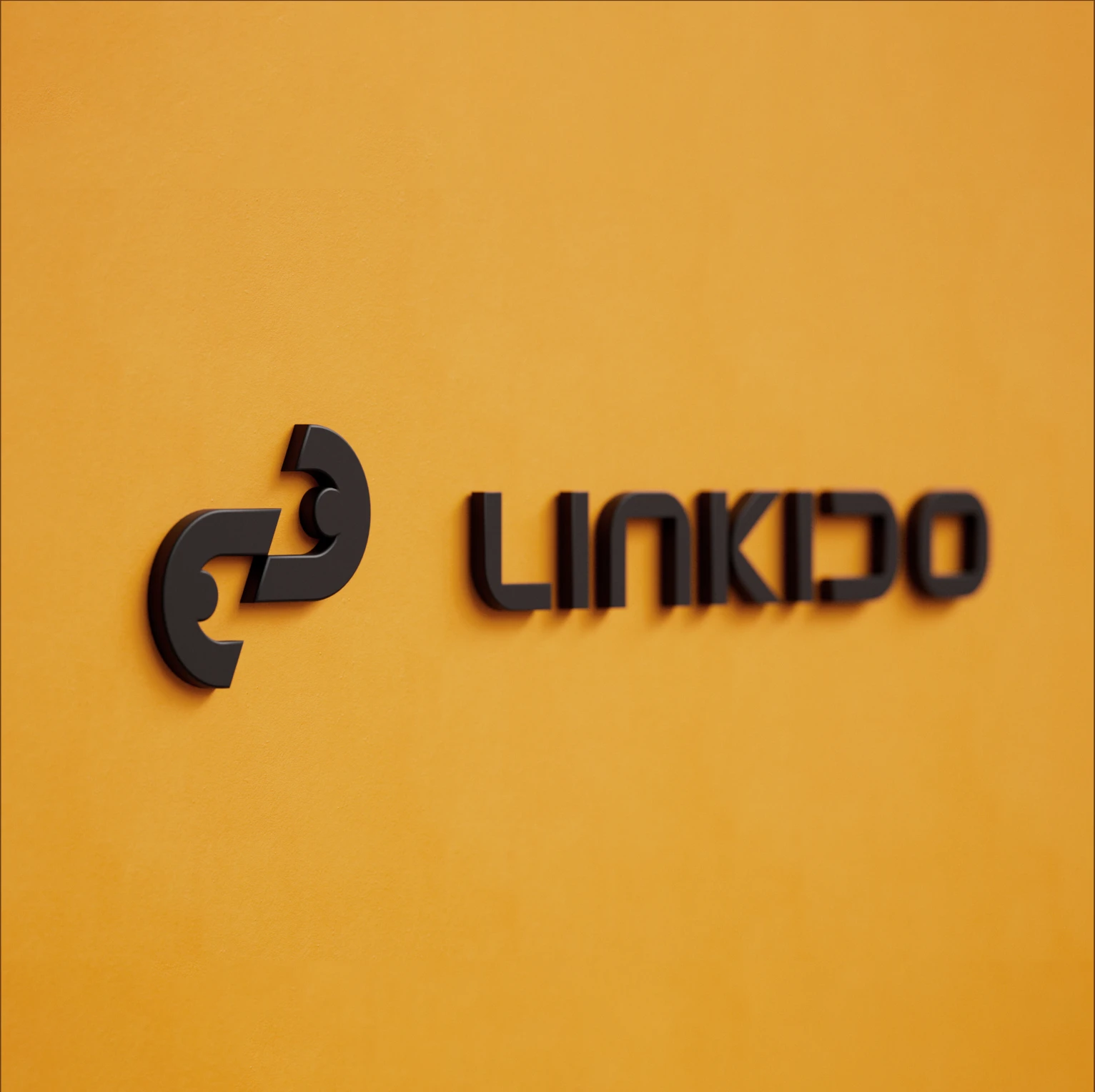 01 linkido 04
